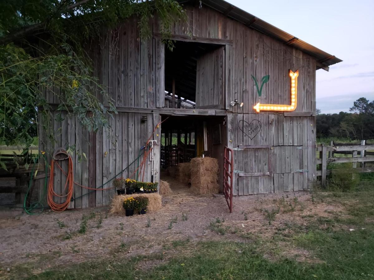Kokomo Farms Лайв-Ок Экстерьер фото