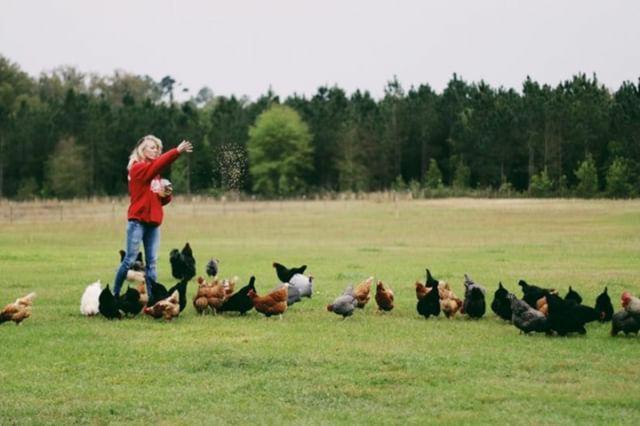 Kokomo Farms Лайв-Ок Экстерьер фото