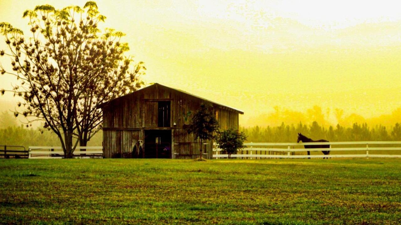 Kokomo Farms Лайв-Ок Экстерьер фото