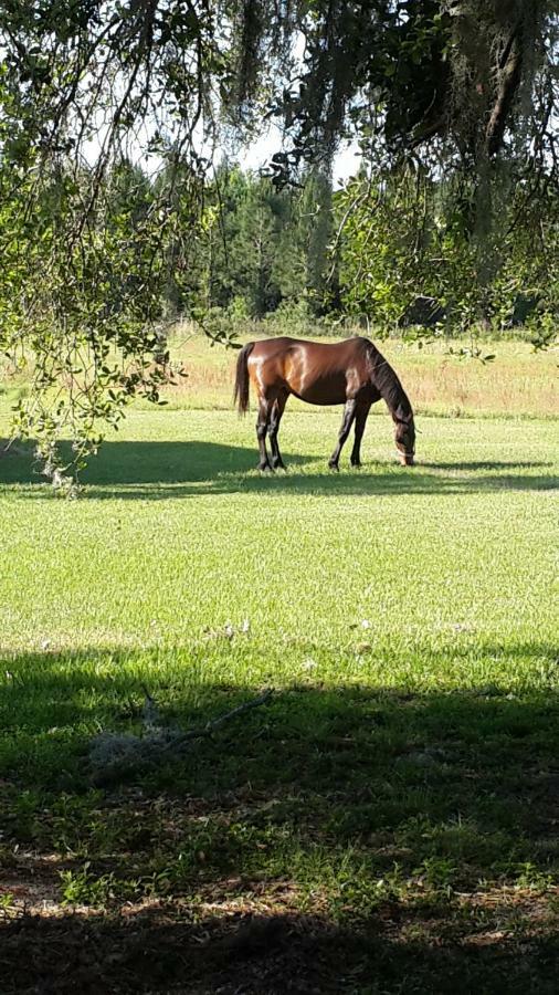 Kokomo Farms Лайв-Ок Экстерьер фото